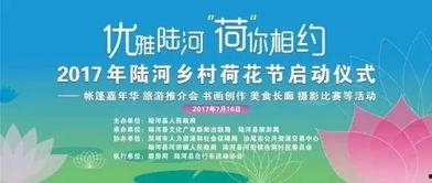 陆河新闻爆料最新情况今天,突发事件现场直击，详情即将揭晓